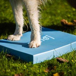 Loype YogoDogo habszivacs target kutyáknak