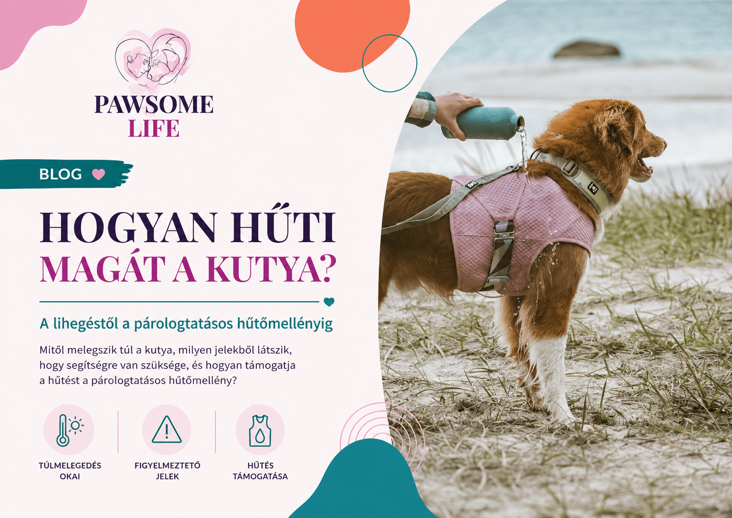 Hogyan hűti magát a kutya – párologtatásos hűtőmellény használata