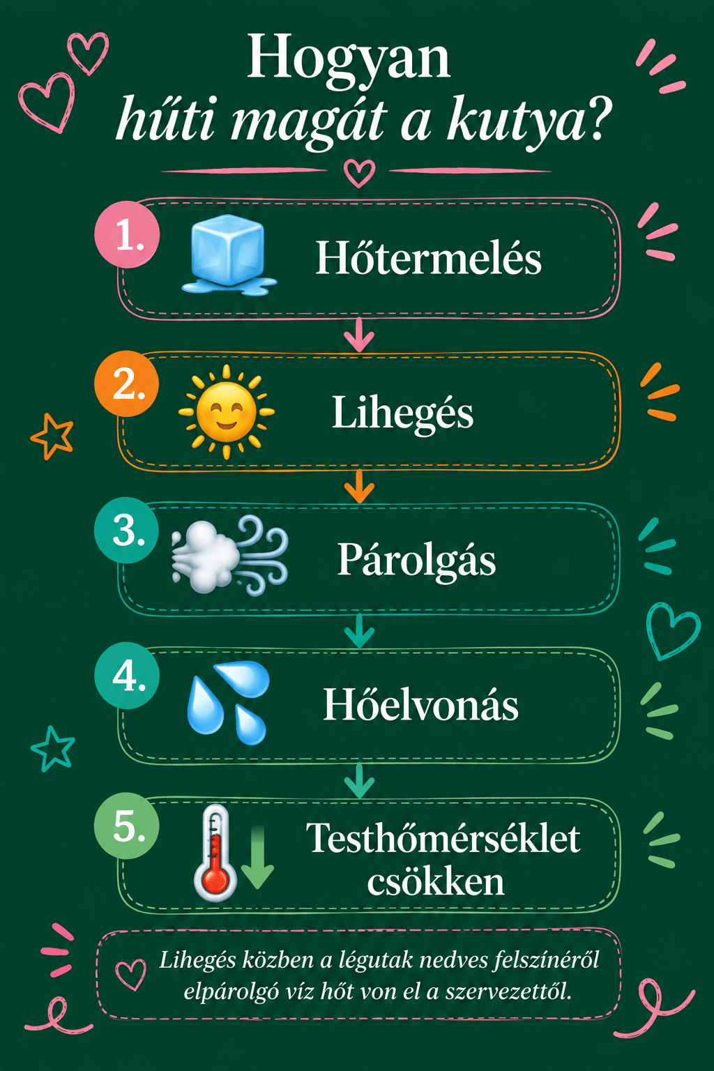 hogyan_huti_magat_a_kutya