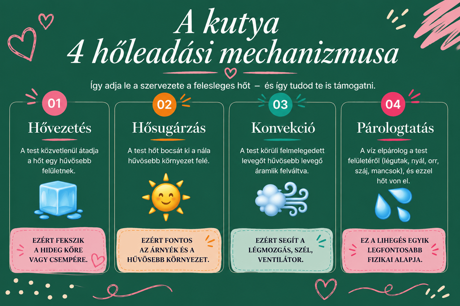 holeadas_mechanizmus Hogyan hűti magát a kutya – a 4 hőleadási mechanizmus